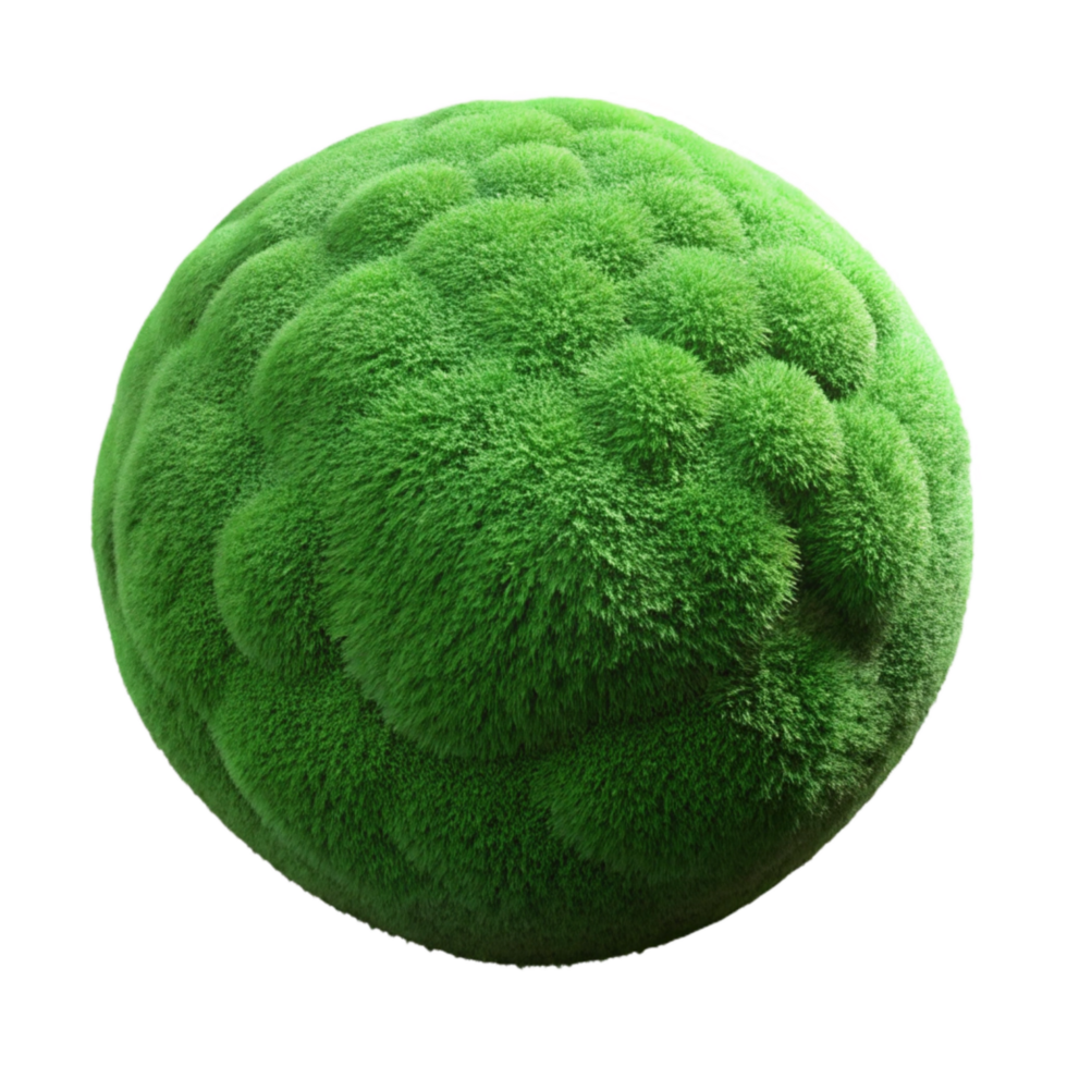 extraordinary classic Green Moss Transparent Background Isolated exclusive png