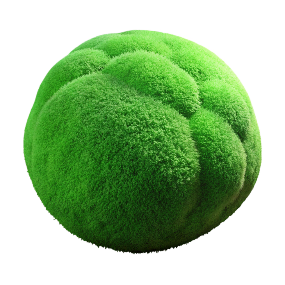 elegant rustic Green Moss Transparent Background Isolated professional png