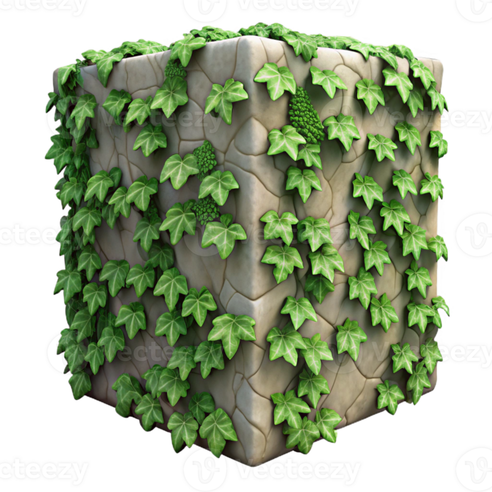 magnificent rustic Ivy Covered Wall Section Close Up Isolated exclusive png