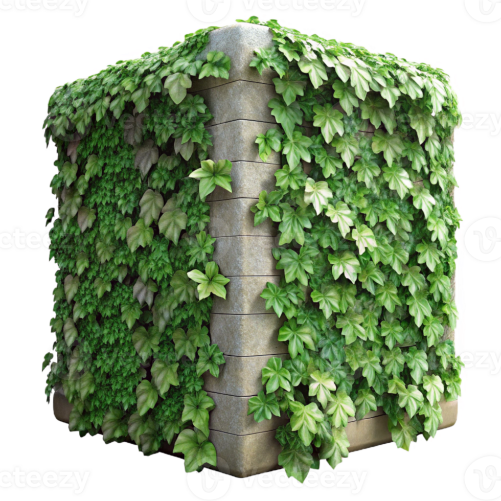 vibrant abstract Ivy Covered Wall Section Close Up Isolated genuine png