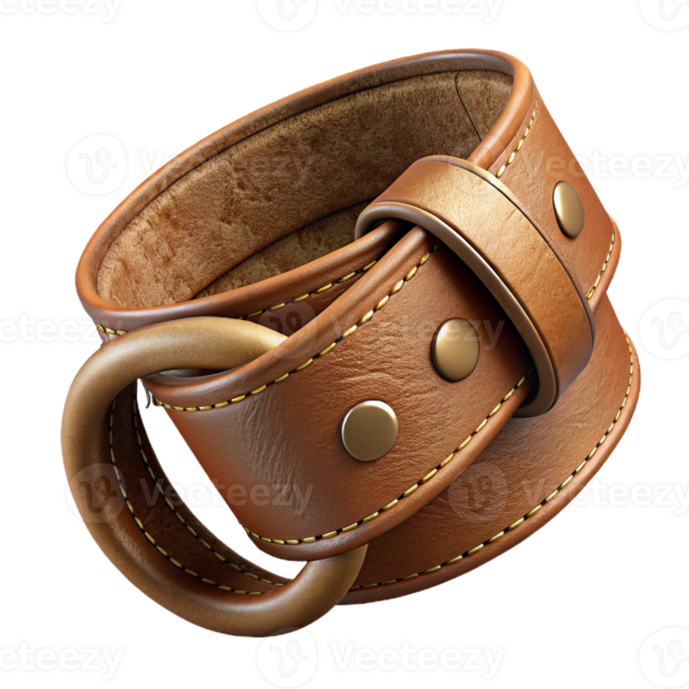 serene modern Old Leather Belt Texture Brown Isolated Element authentic png