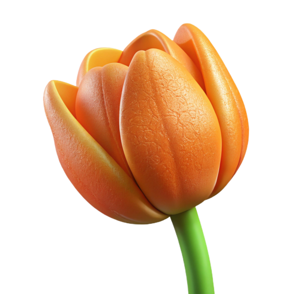 impressive vintage Orange Tulip Cutout Side View premium png