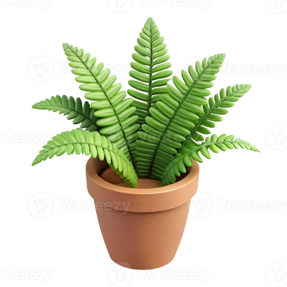 impressive artistic Potted Fern Cutout Top View premium png