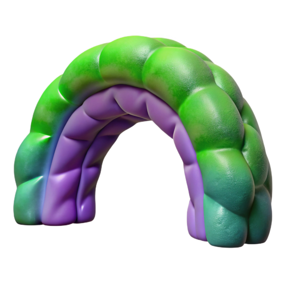 elegant modern Realistic Auroral Arch Cutout with Green and Purple Hues genuine png