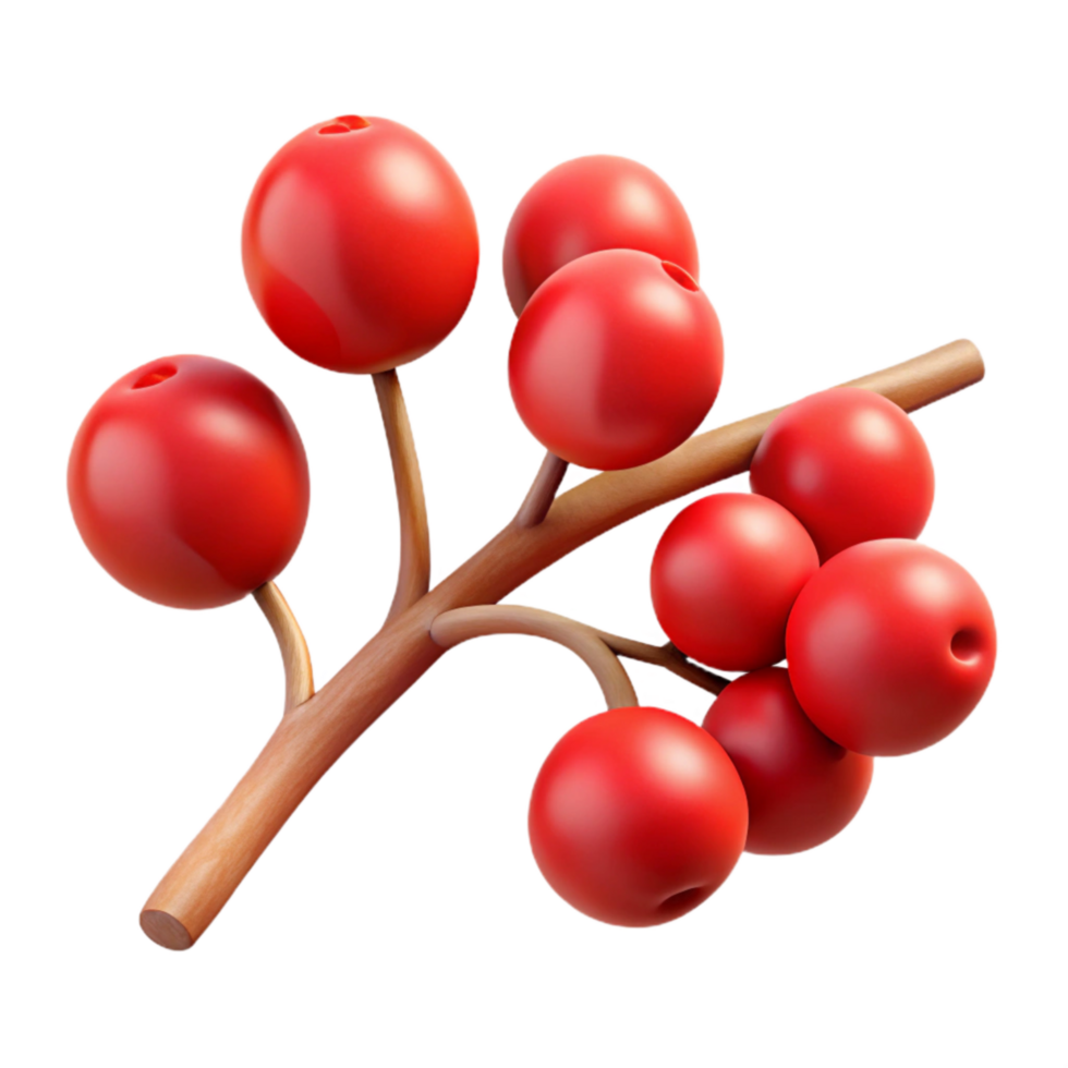 stunning classic Realistic Branch with Berries Cutout with Red Berries genuine png
