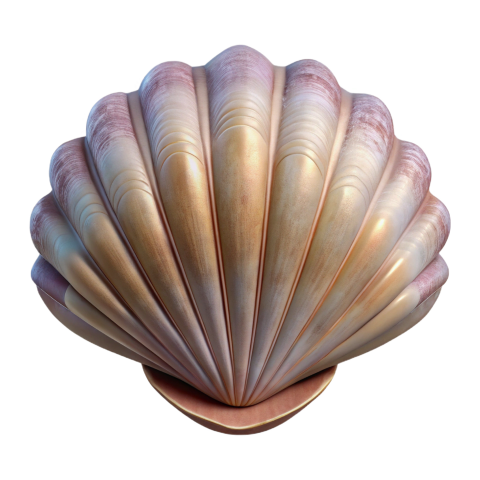 beautiful vintage Realistic Clam Shell Isolated on Transparent Background high resolution png