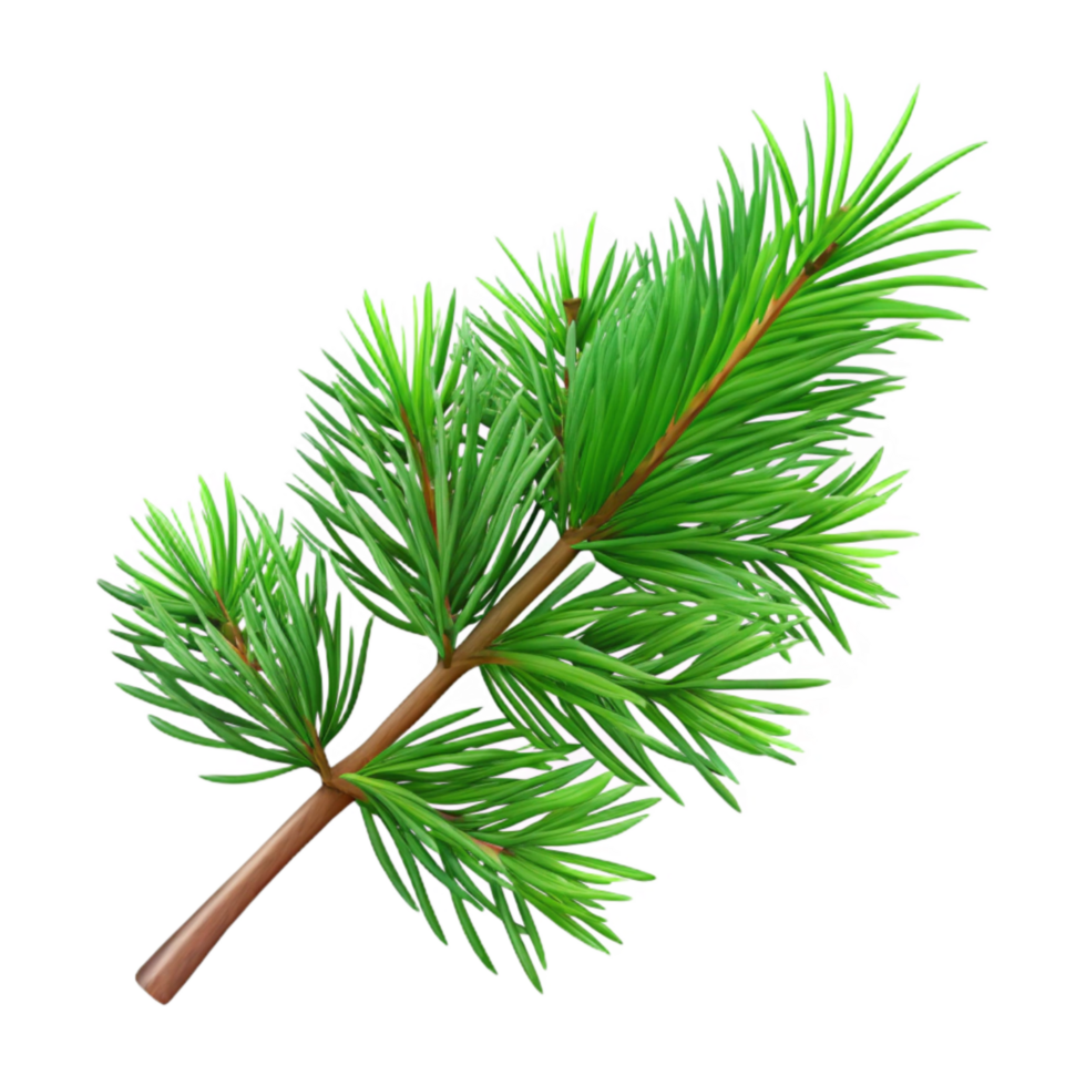 wonderful creative Realistic Pine Branch Isolated with Green Needles genuine png