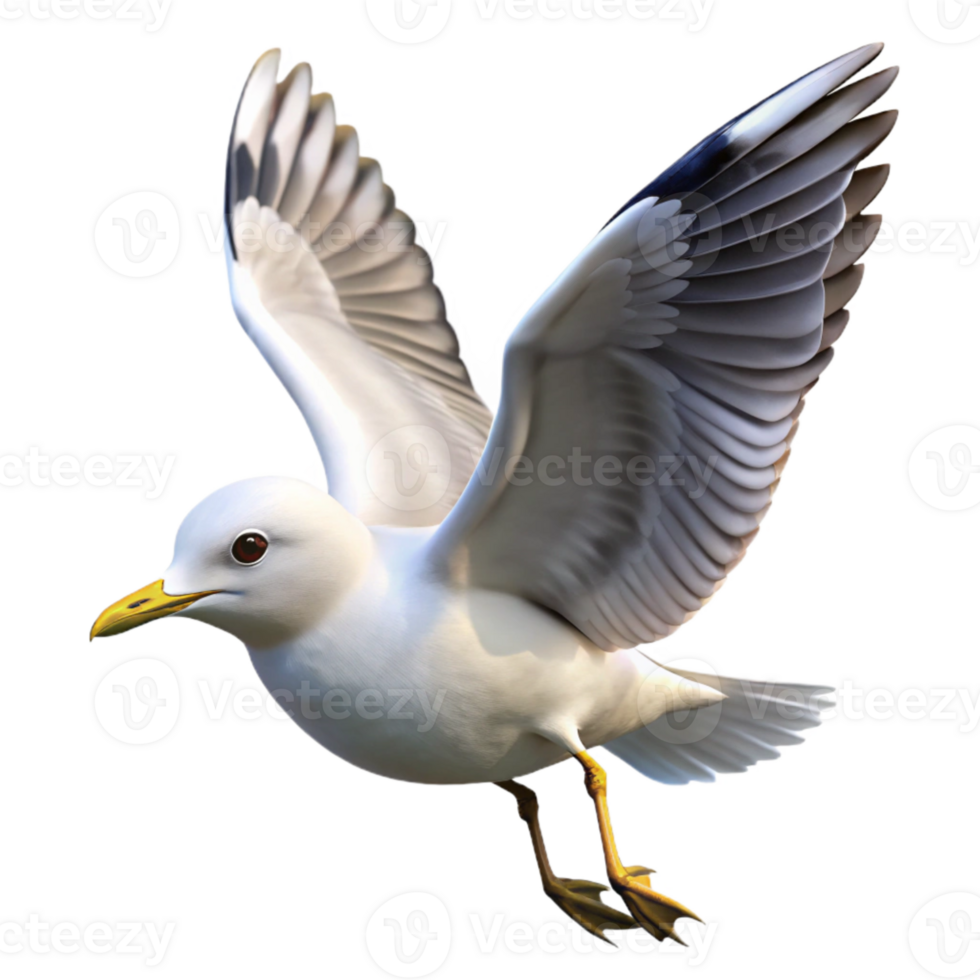 impressive minimalist Seagull Isolated in Flight White Feathers Transparent Background genuine png