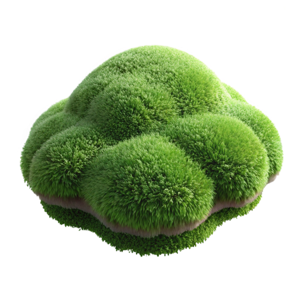 elegant contemporary Synthetic Moss Cutout Textured Surface Isolated Element professional png