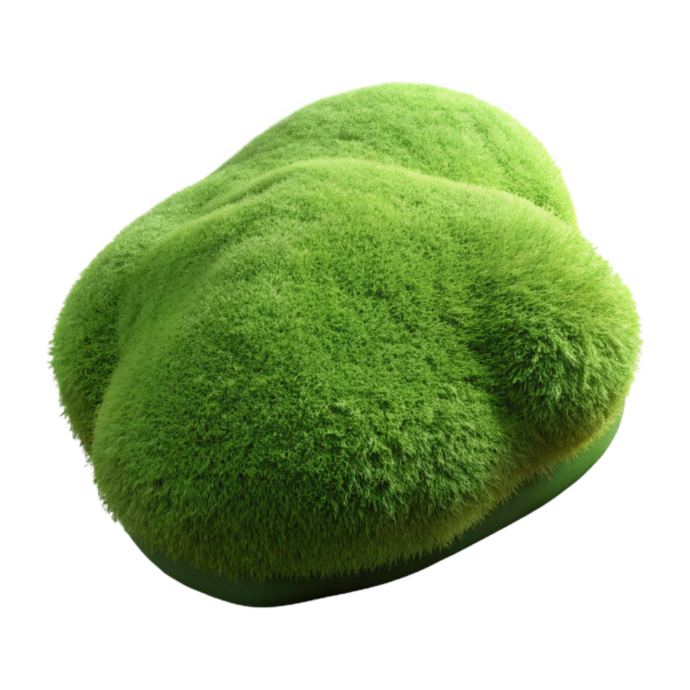 magnificent classic Synthetic Moss Cutout Textured Surface Isolated Element detailed png