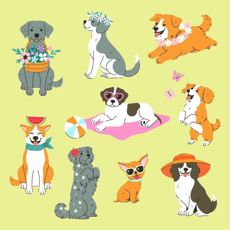 Set of different cute summer dogs. graphics vector