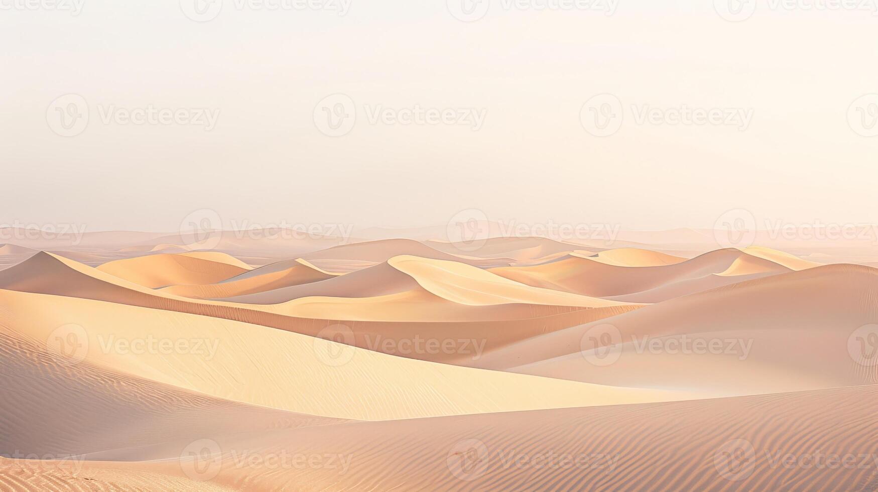 Sandy fields nature landscape photo