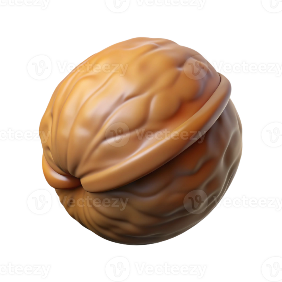 spectacular distinguished Single walnut in shell with Transparent Background png