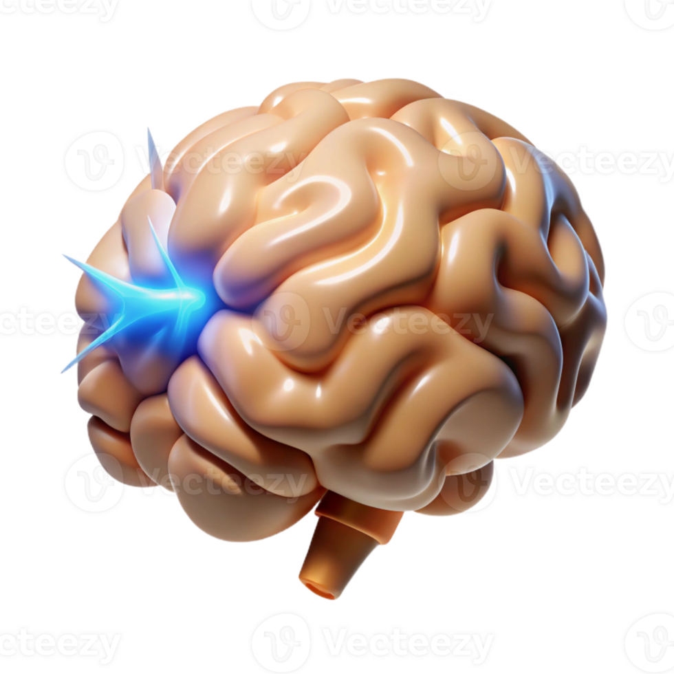 reflective vibrant A realistic human brain, pulsing with energy with Transparent Background high quality png