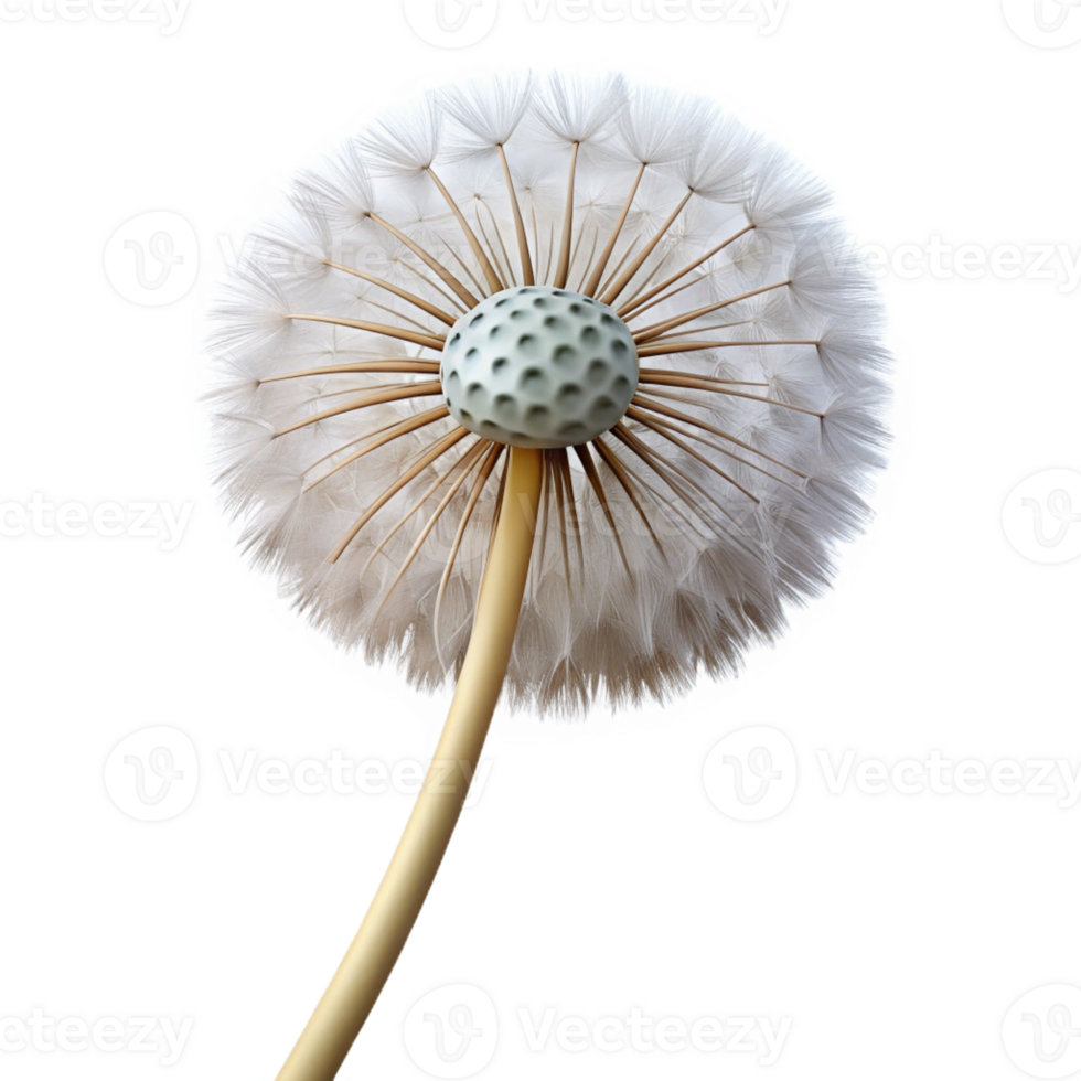 intense breathtaking Photorealistic, isolated cutout of a single, dandelion seed head with Transparent masterfully captured png