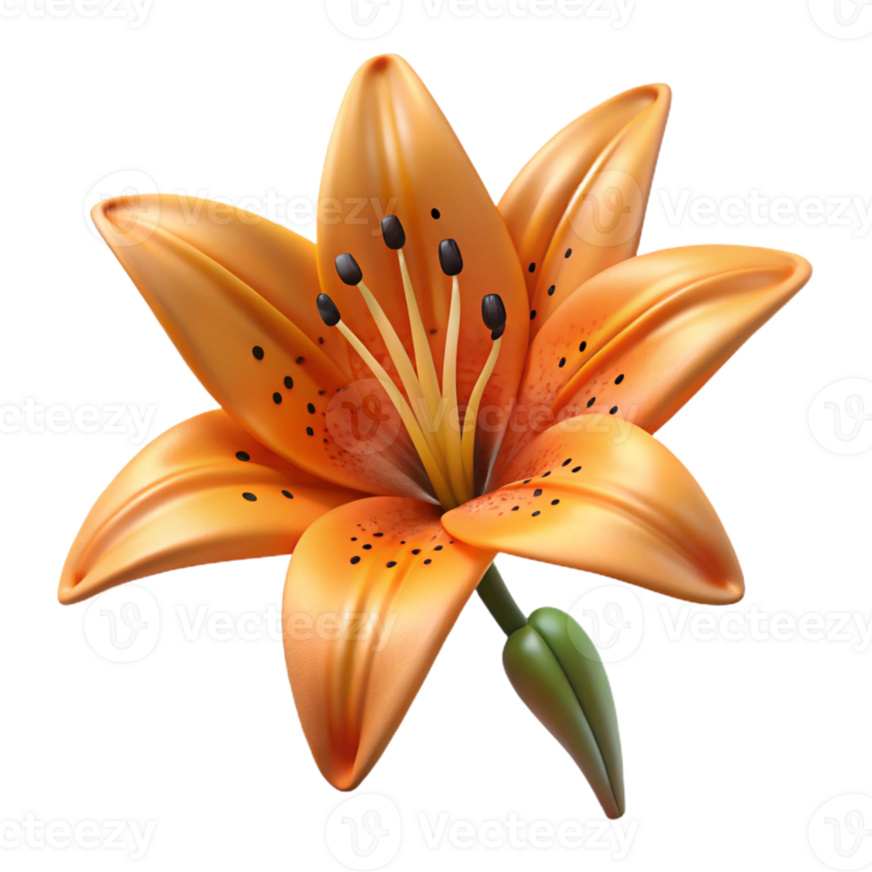 majestic gothic Isolated cutout, photorealistic, ultra-detailed professional render of a single, hyper-specific tiger lily flower, orange with black spots with Transparent Background museum quality png