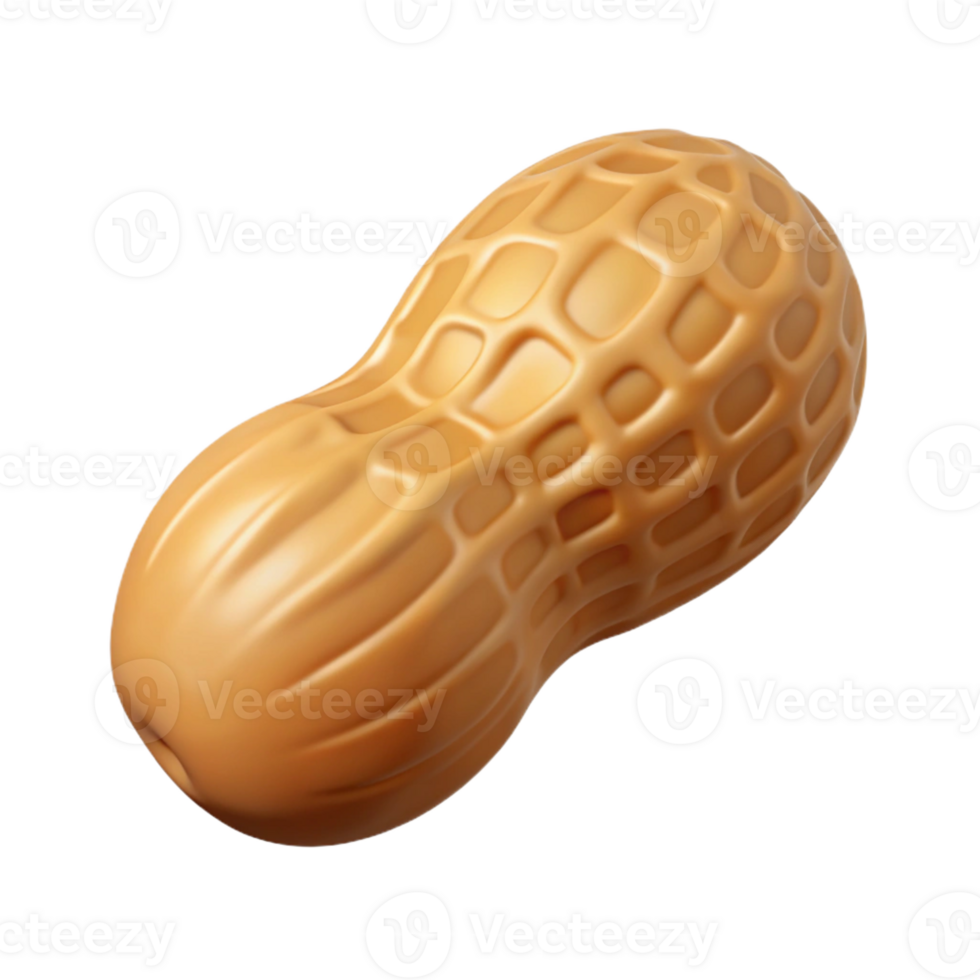 melancholic radiant Concept art style, isolated cutout of a single peanut with Transparent Background fine detail png