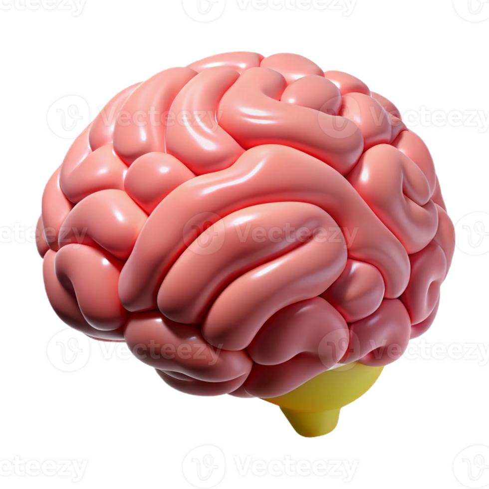 impressive rare A human brain, intricately detailed and scientifically accurate with Transparent Background png