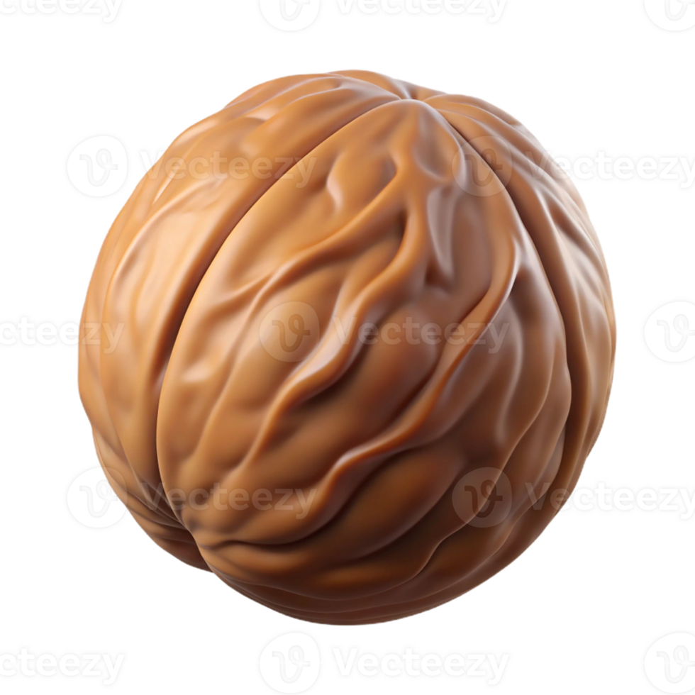 signature elegant Photorealistic, ultra-detailed isolated cutout of a single walnut Isolated cutout with Transparent Background artisan png
