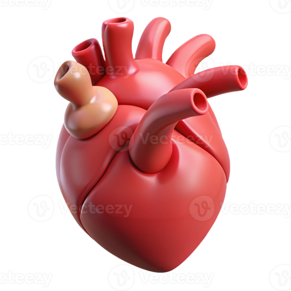 melancholic hypnotic A stylized human heart, anatomically correct, pulsating gently with Transparent Background authentic png