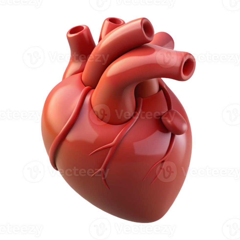 wonderful vintage A stylized human heart, anatomically correct, pulsating gently with Transparent Background top-tier png