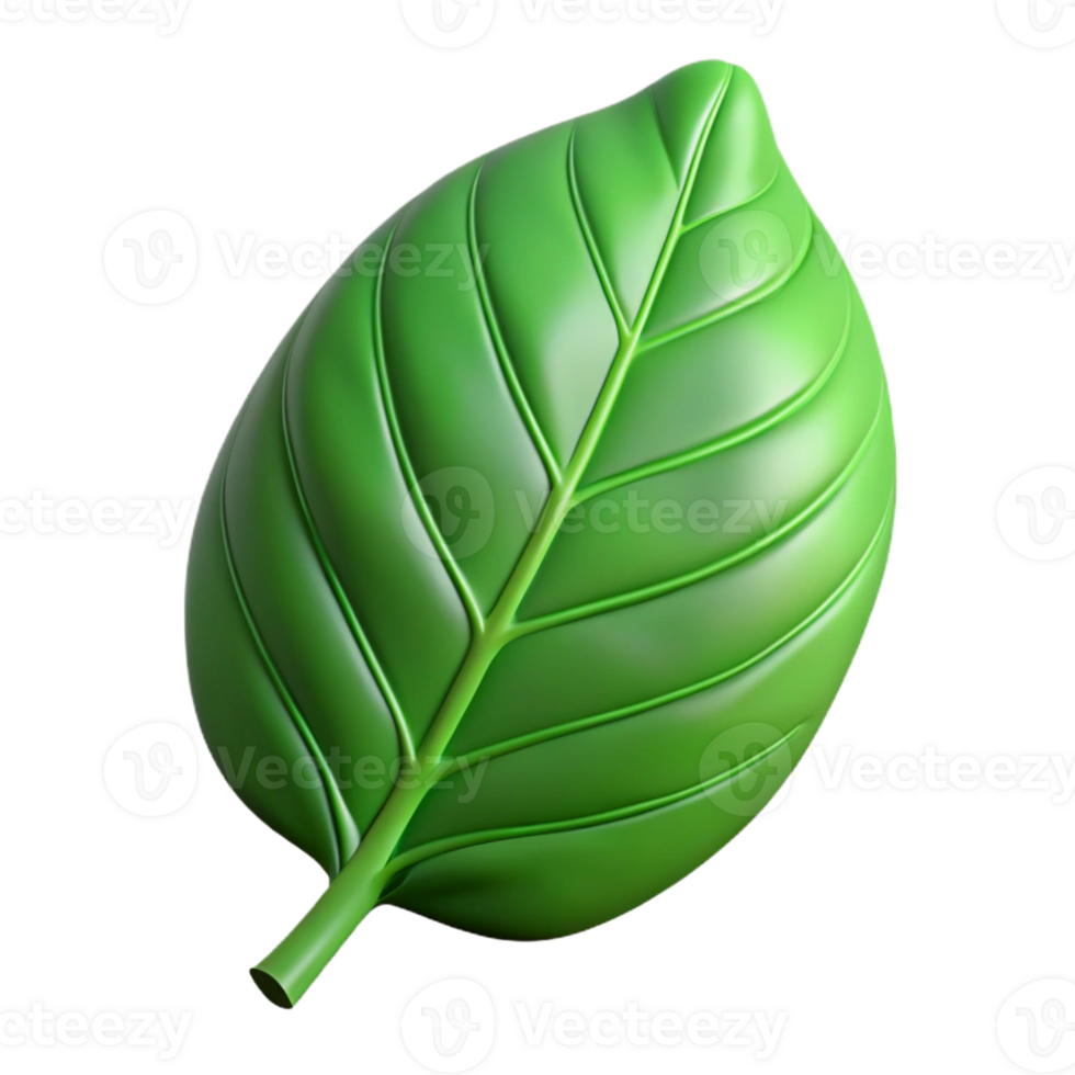 remarkable artistic A single, perfect green leaf, with visible veins and texture with Transparent Background top-tier png