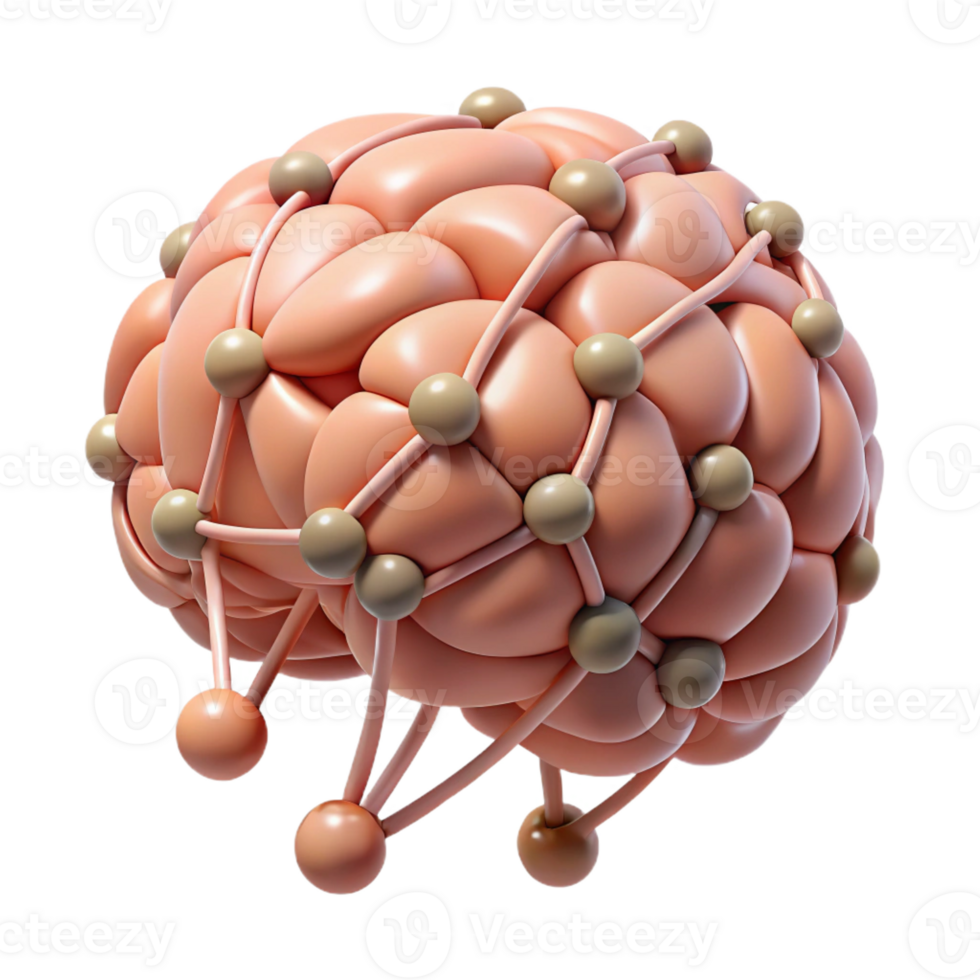 picturesque traditional A stylized brain with interconnected neural pathways with Transparent Background professional png