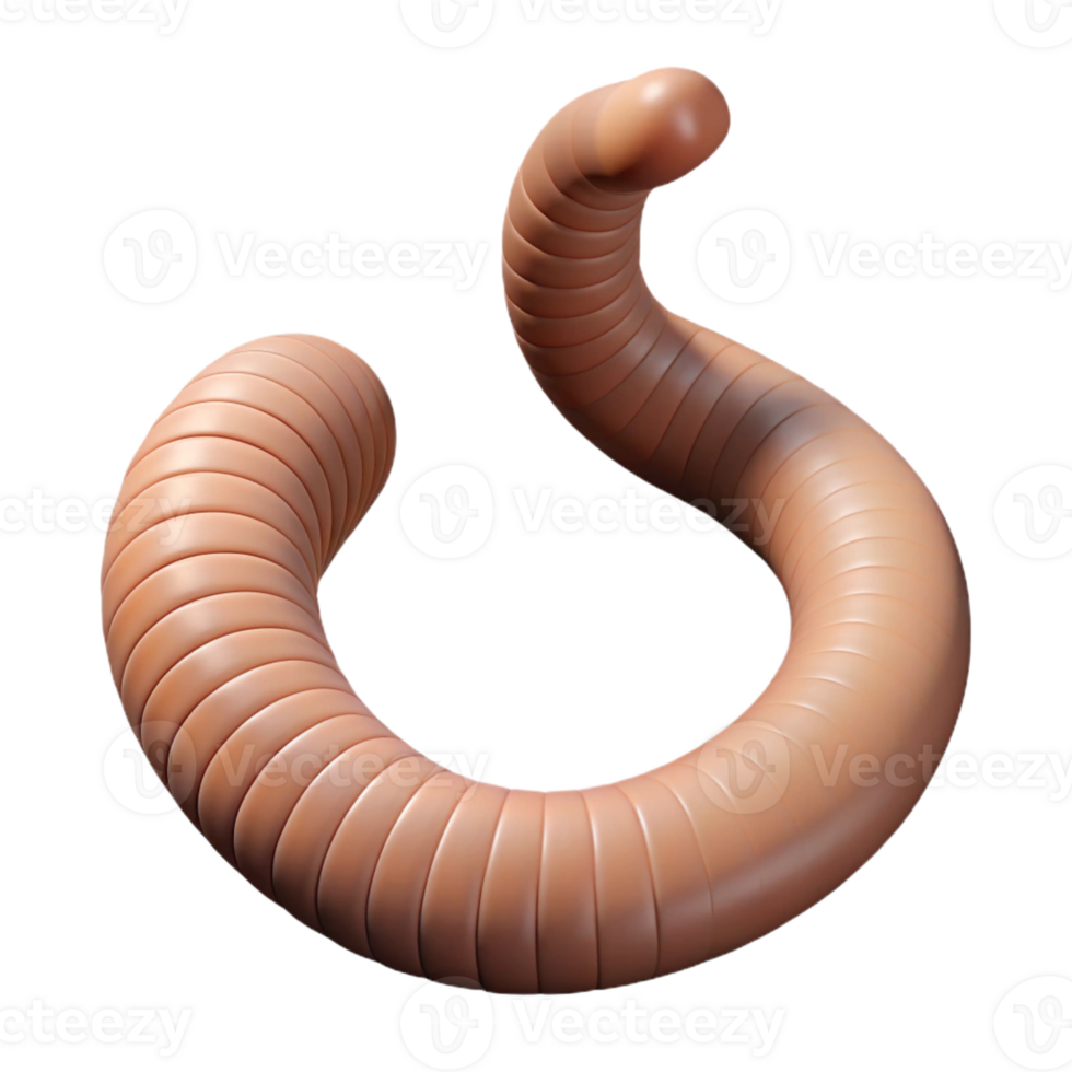 joyful picturesque Professional render hyper-specific image of a single earthworm, segmented body, with Transparent Background authentic png