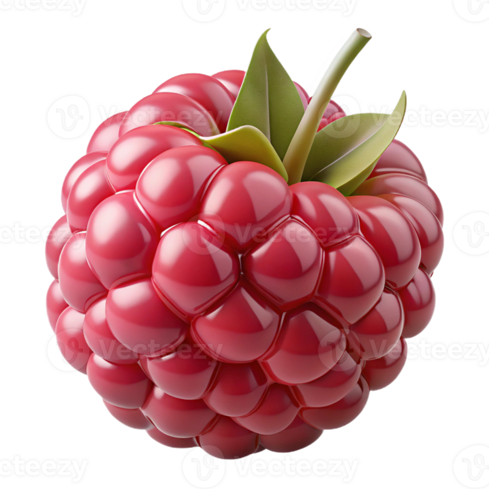 harmonious exquisite Professional render, photorealistic, ultra-detailed image of a single, ripe raspberry with delicate hairs Isolated cutout with Transparent Background fine detail png