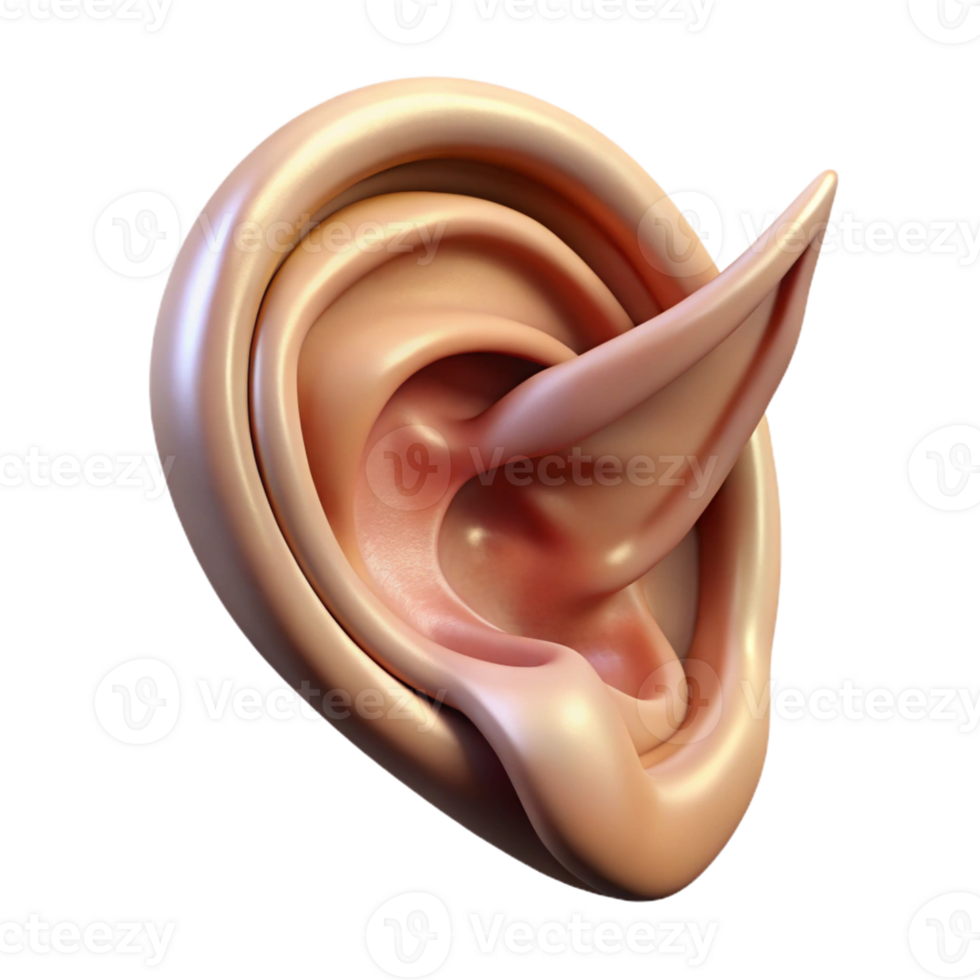joyful hypnotic A highly detailed illustration of an elven ear with Transparent Background crisp png