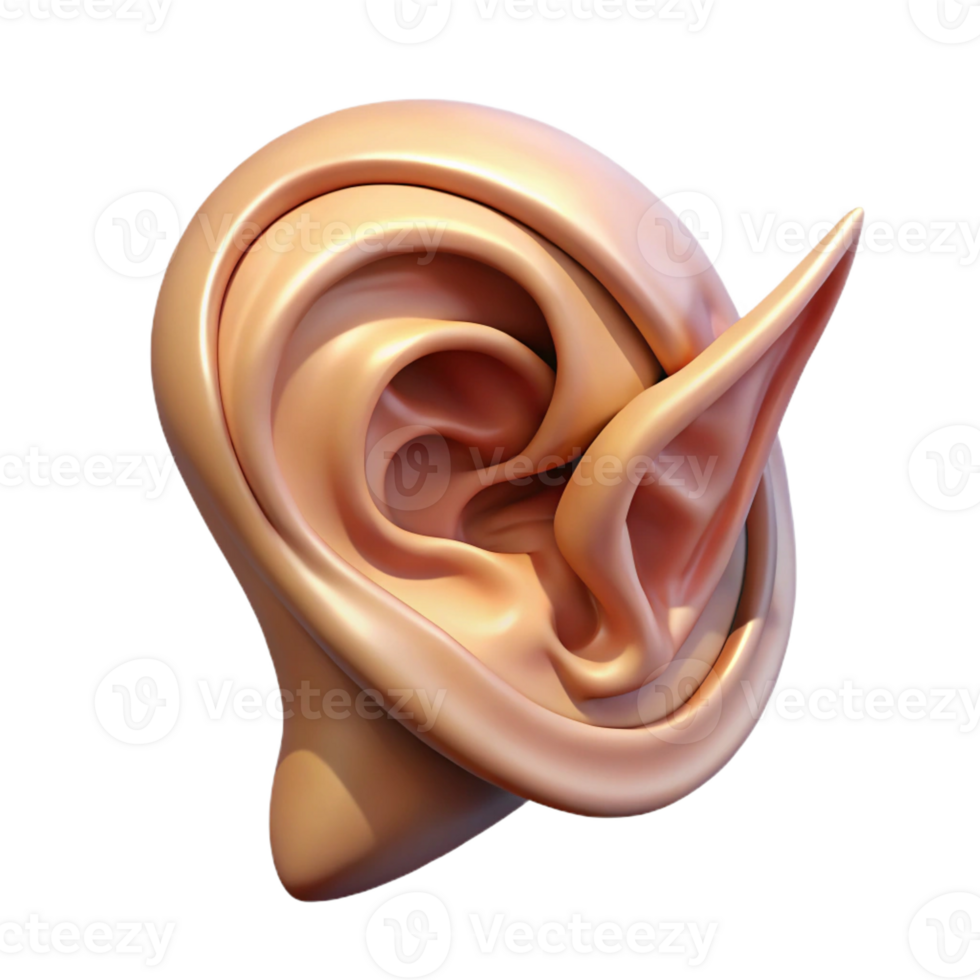 hypnotic playful minimalist A highly detailed illustration of an elven ear with Transparent Background professional png