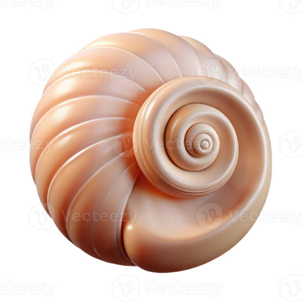 gorgeous distinguished Photorealistic, ultra-detailed render of a single seashell, spiral shape, isolated cutout with Transparent Background png