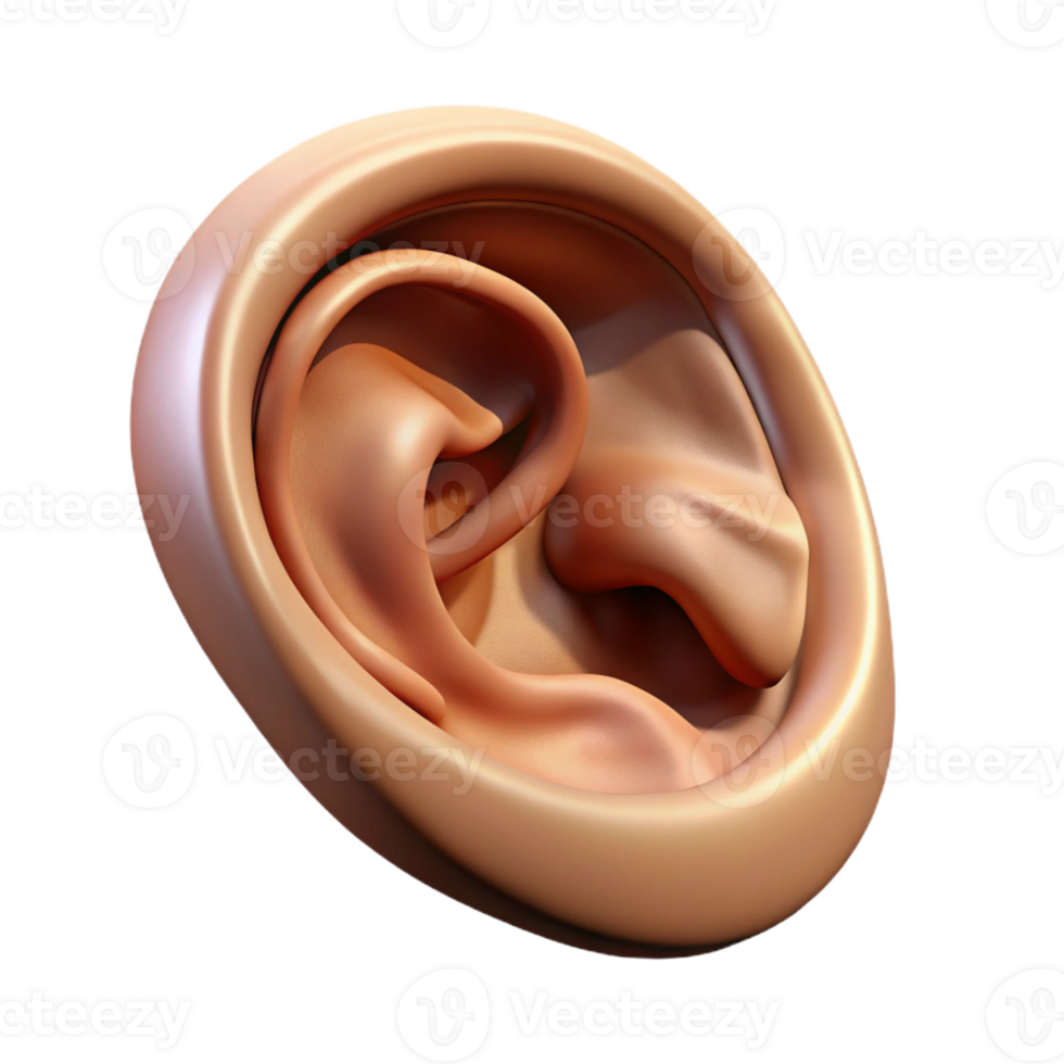 fascinating whimsical vintage Hyper-specific professional render of a single human ear with intricate details and realistic textures Isolated cutout with Transparent Background 4K png
