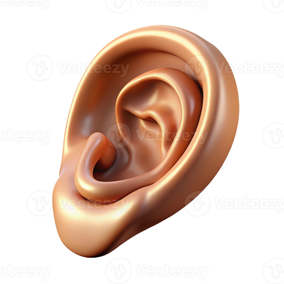 elegant calm gothic Hyper-specific professional render of a single human ear with intricate details and realistic textures Isolated cutout with Transparent Background 4K png