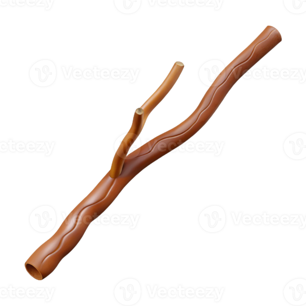 memorable modern Concept art style, ultra-detailed, isolated cutout professional render of a single, dried brown twig with Transparent Background impeccable png
