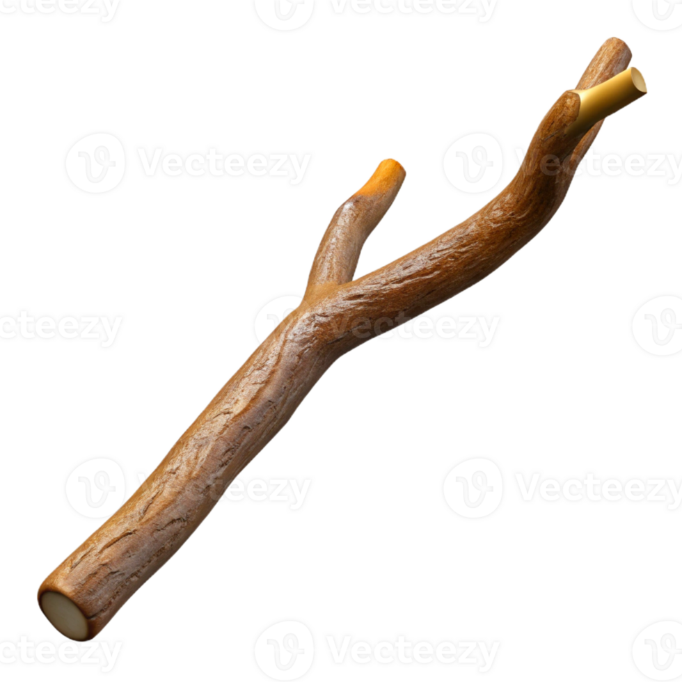 playful extraordinary Concept art style, ultra-detailed, isolated cutout professional render of a single, dried brown twig with Transparent Background museum quality png