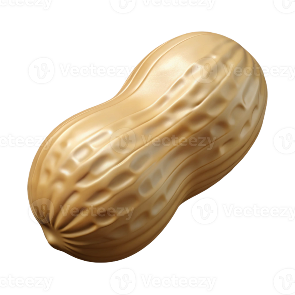exceptional coastal Professional render hyper-specific image of a single peanut, shelled, with Transparent Background impeccable png