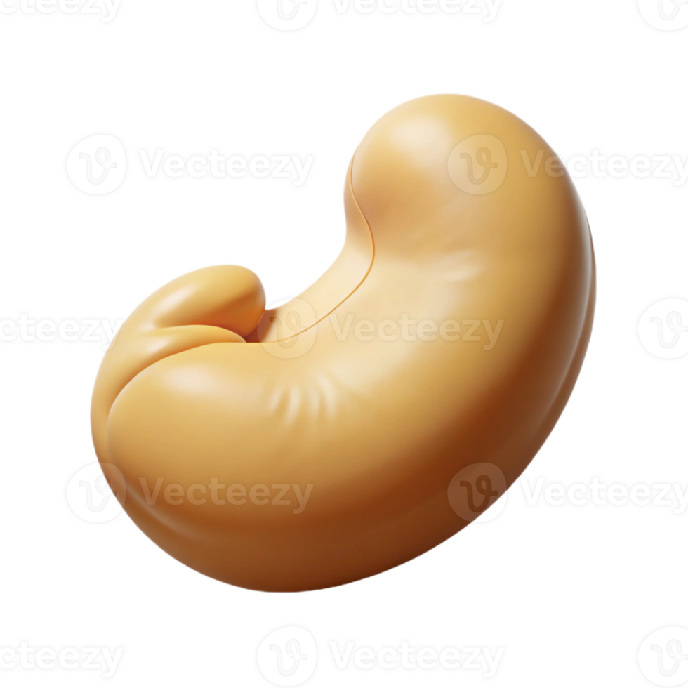 impressive rare Concept art style hyper-specific image of a single cashew nut, shelled, with Transparent Background png