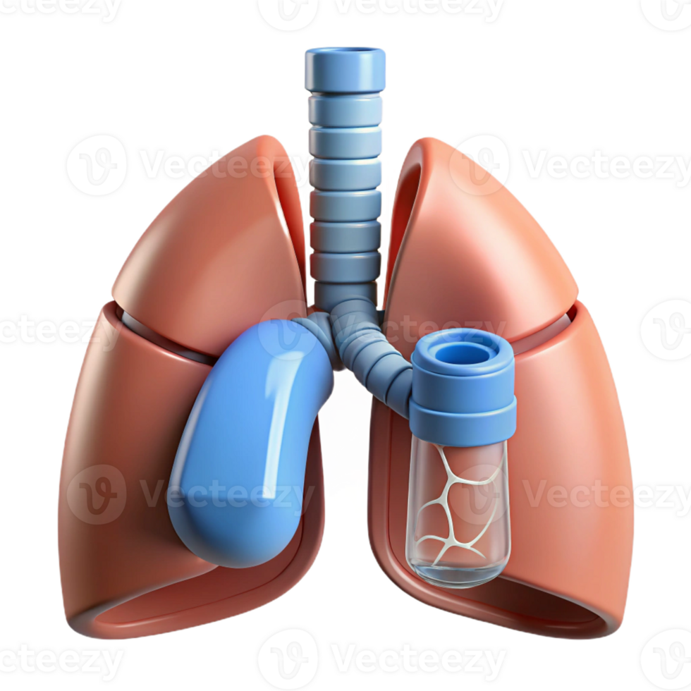 memorable elegant Ultra-detailed, isolated cutout, biomechanical lung with filtration system with Transparent Background high resolution png