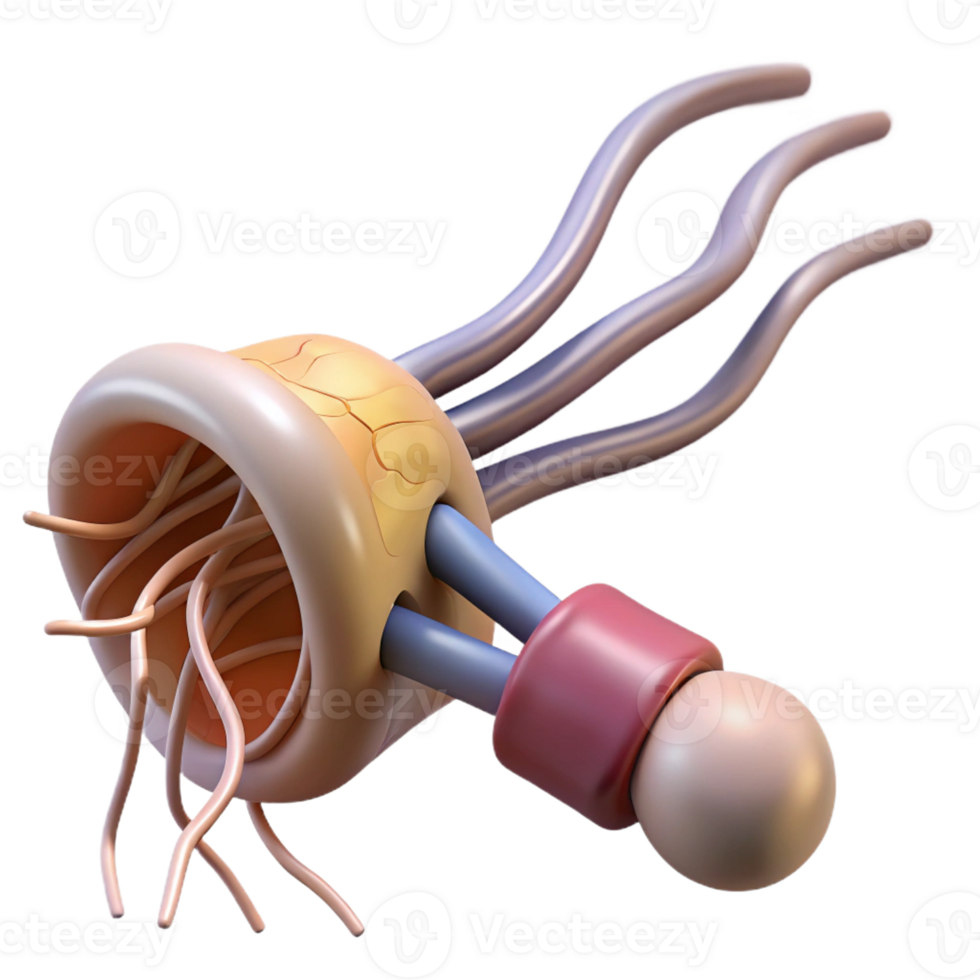 elegant remarkable Hyper-specific, photorealistic render of a biomechanical nerve ending with electrical connections, isolated cutout with Transparent Background png