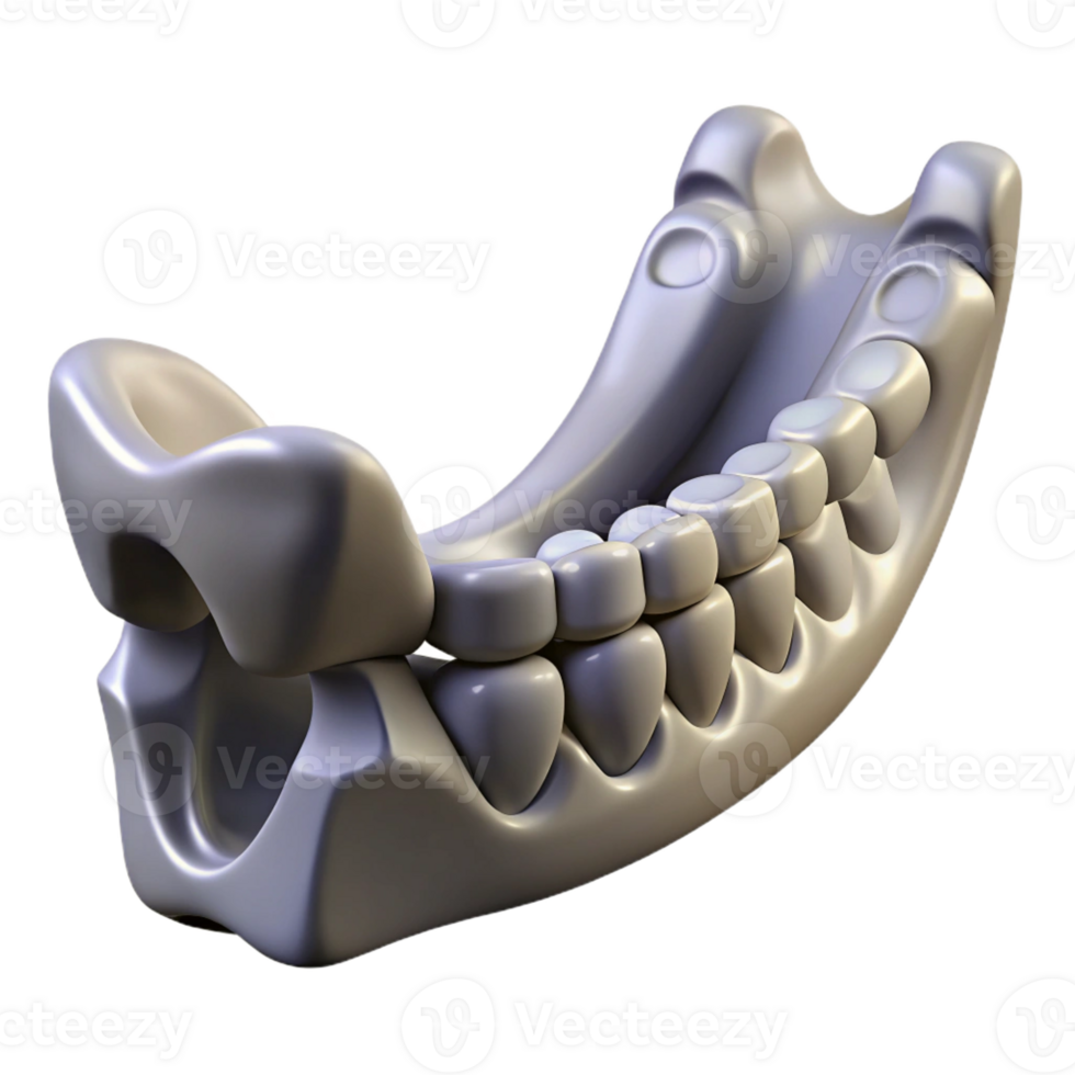extraordinary nostalgic modern Isolated cutout, ultra-detailed, biomechanical jawbone with reinforced structure with Transparent Background precision png