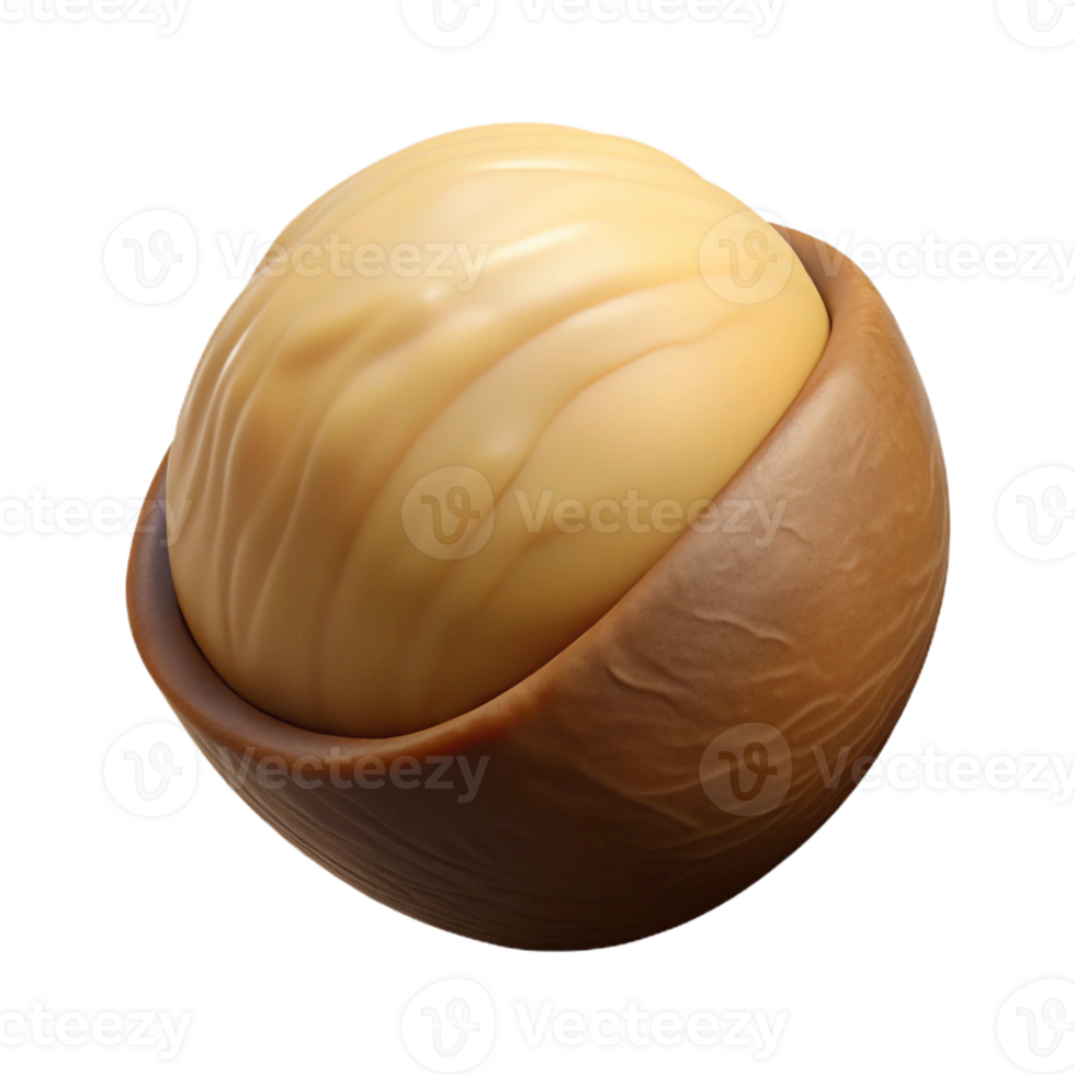 gorgeous tranquil baroque Professional render hyper-specific image of a single macadamia nut, shelled, with Transparent Background high quality png