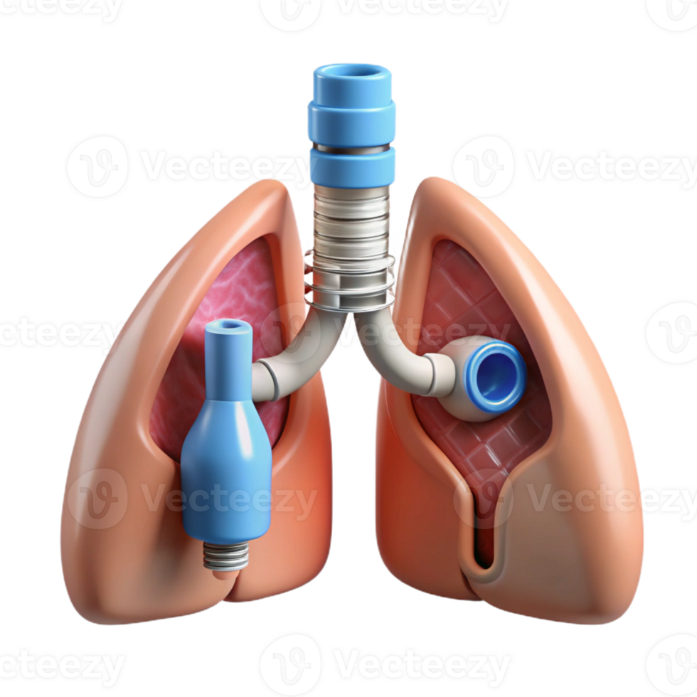 impressive exceptional Hyper-specific, concept art style, isolated cutout of a biomechanical lung with integrated filtration system with Transparent Background png