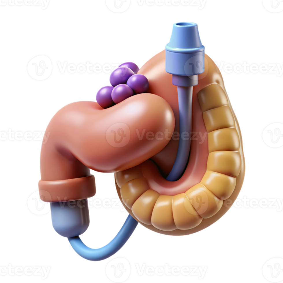 deslumbrante cobiçado hiperespecífico, conceito arte estilo, isolado Cortar fora do uma biomecânico pâncreas com integrado insulina Produção sistema com transparente fundo png