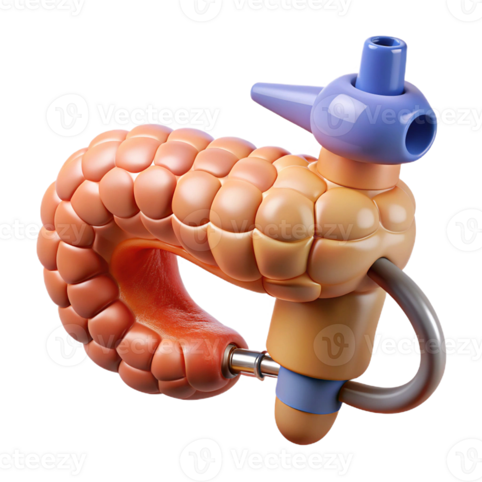 signature contemporary Hyper-specific, concept art style, isolated cutout of a biomechanical pancreas with integrated insulin production system with Transparent Background ultra HD png