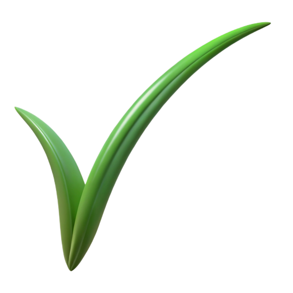 gorgeous dreamy nordic Single blade of grass with Transparent Background detailed png