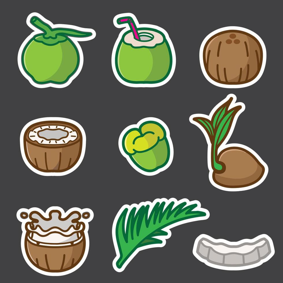 set of coconut good for sticker, badge, element design, icon, print design, etc vector