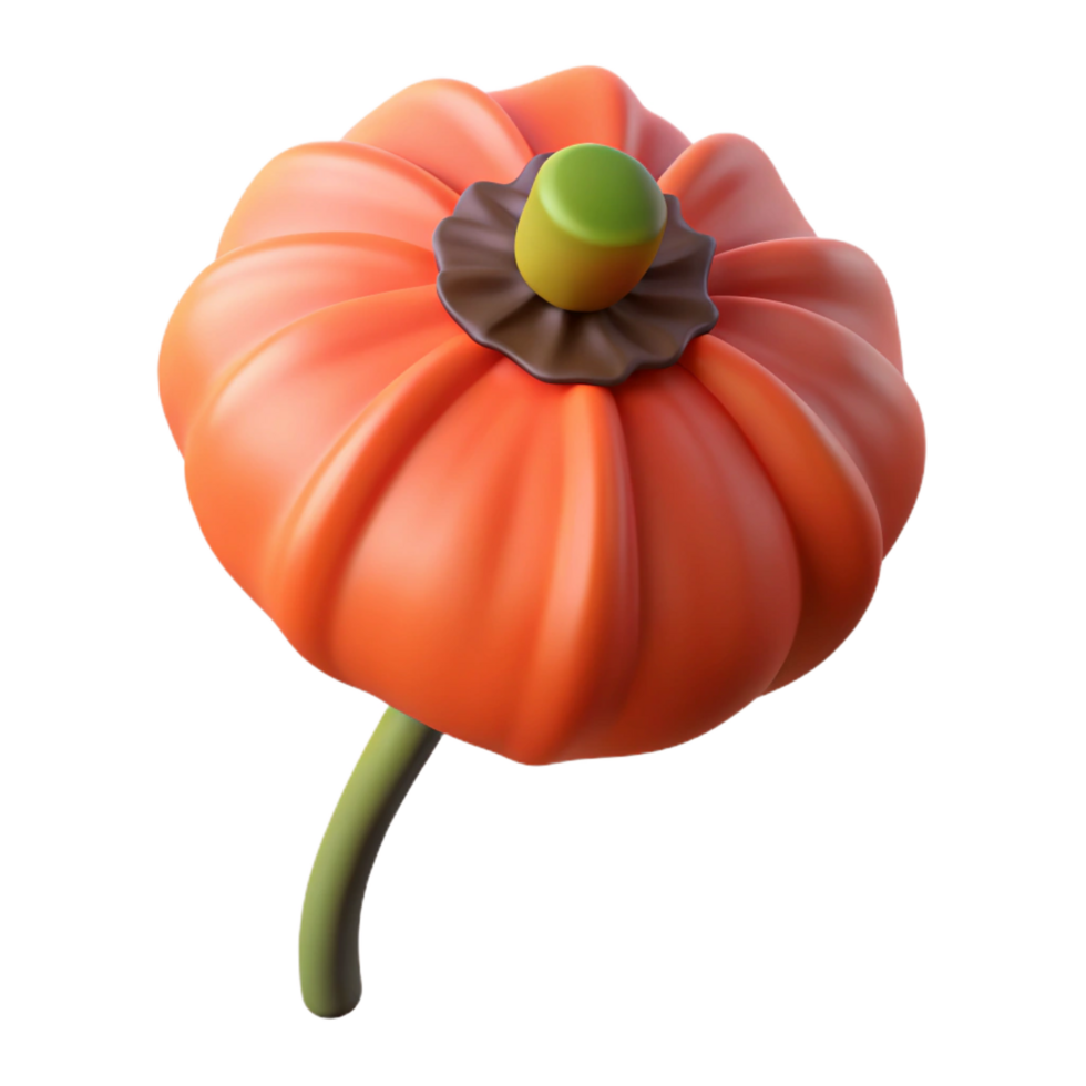 inspired bohemian Single poppy seed with Transparent Background professional png