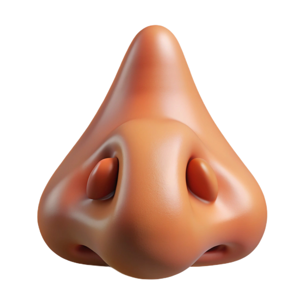 elegant passionate bohemian Photorealistic isolated cutout of a human nose with realistic details and pores with Transparent Background crisp png