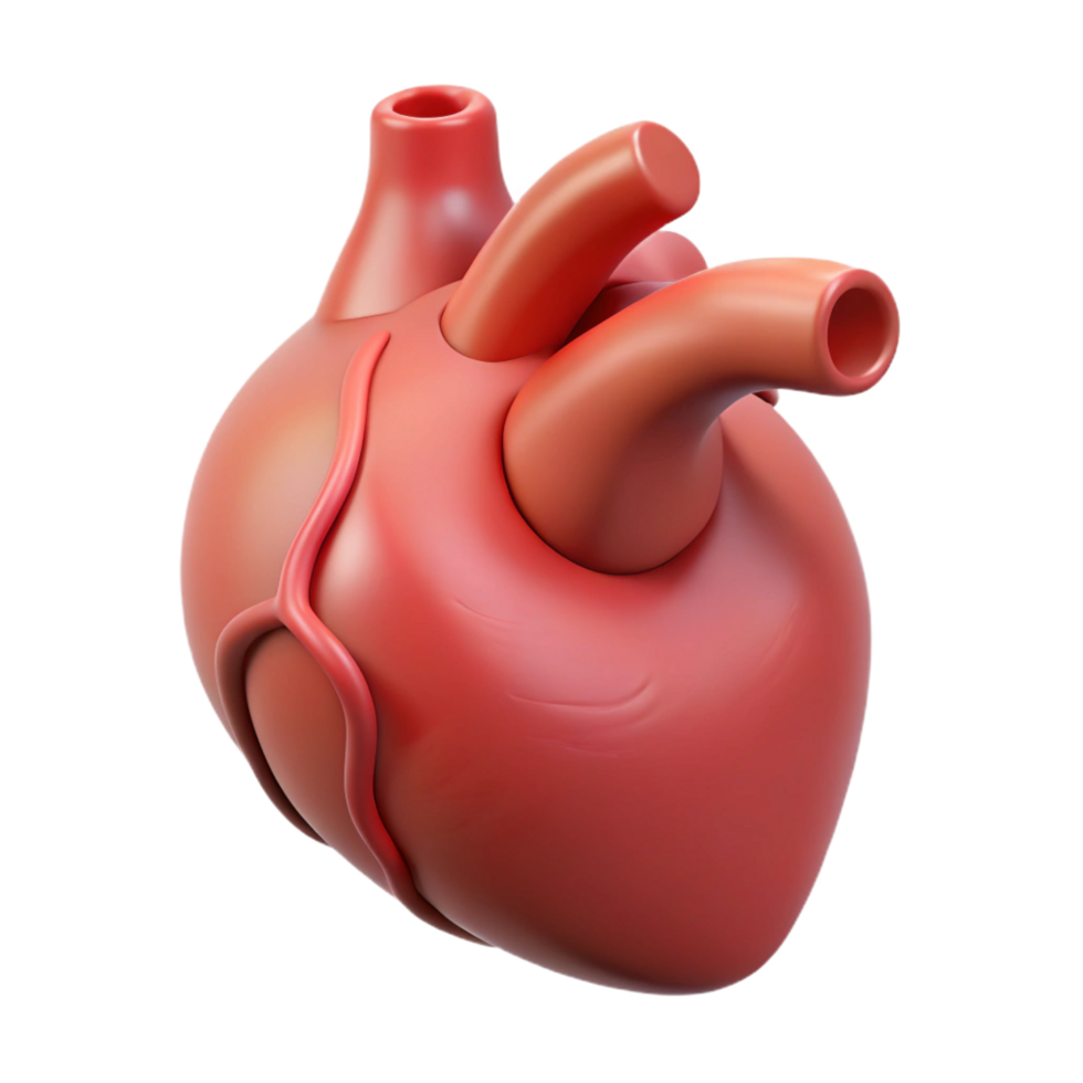 melancholic mesmerizing A single human heart, anatomically correct with Transparent Background perfect clarity png